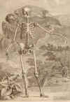 albinus2.jpg (485472 bytes)