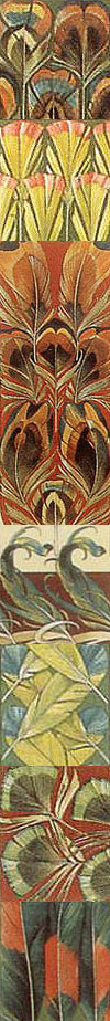 Decoratief gebruik van veren uit: Anthon Seder, Das Thier, 1896